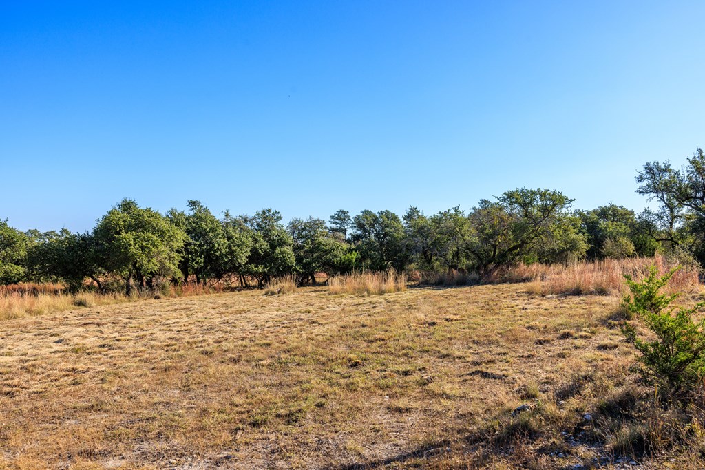 Lot 24 Axis Circle