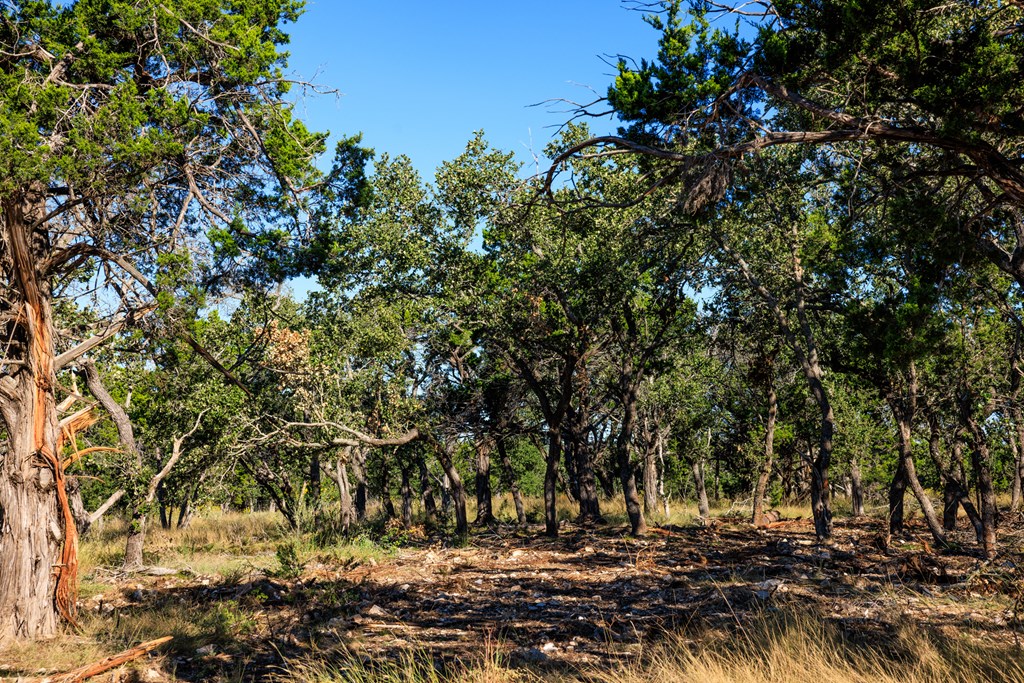 000 Ranch Rd 965