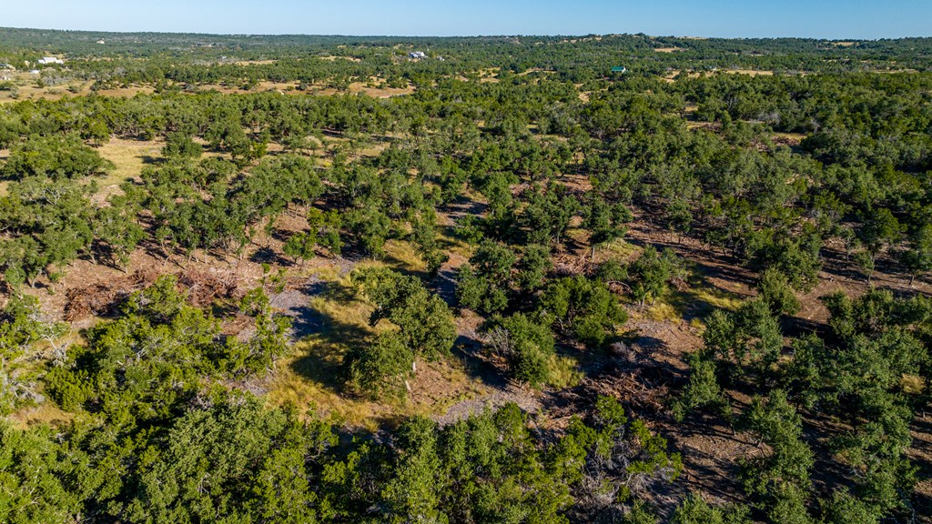 000 Ranch Rd 965