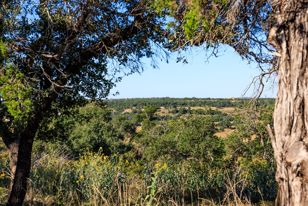 000 Ranch Rd 965