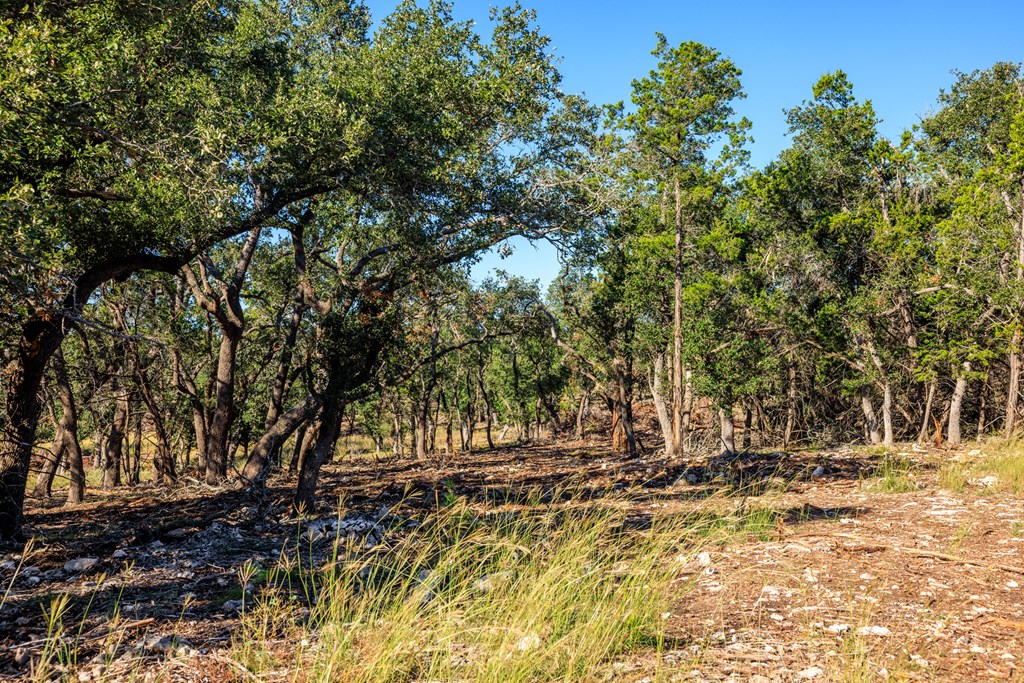 000 Ranch Rd 965