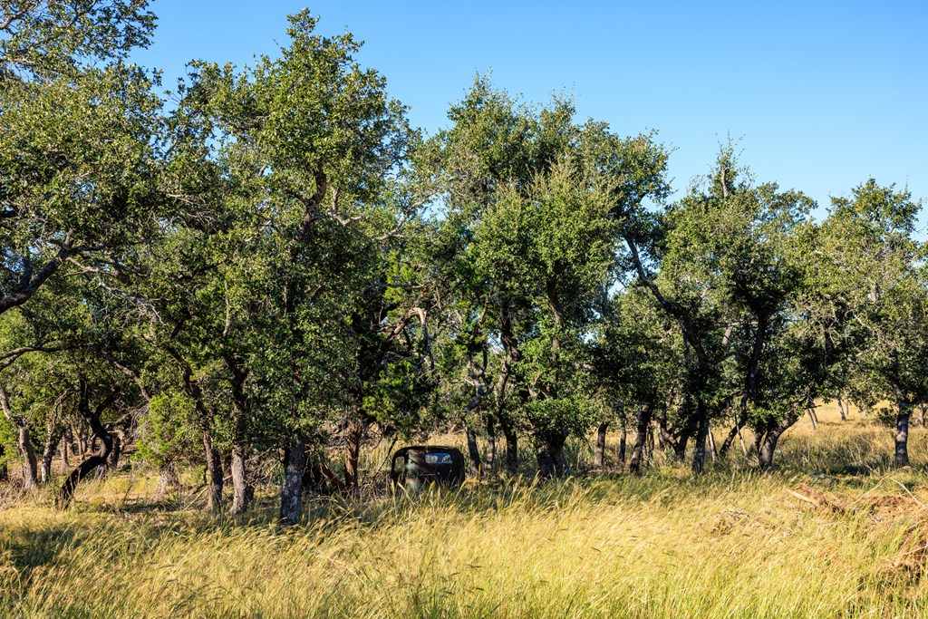 000 Ranch Rd 965