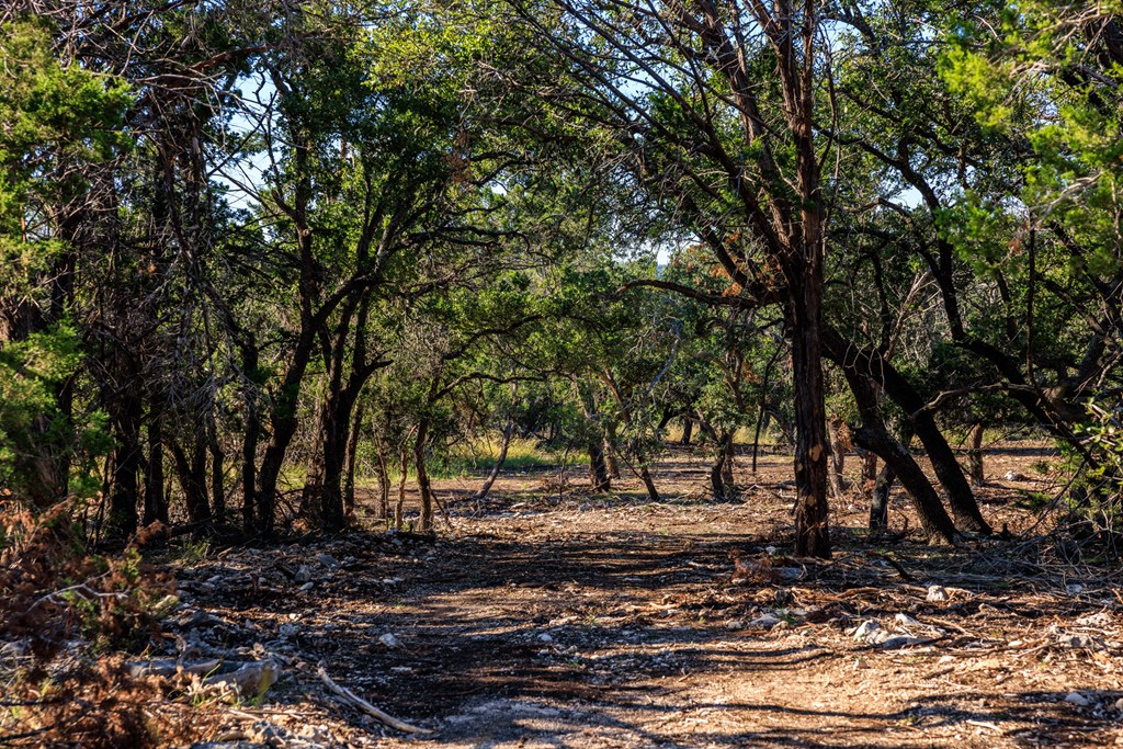 000 Ranch Rd 965