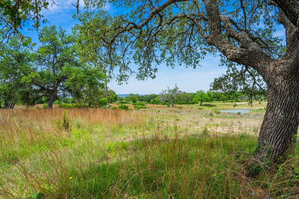 TBD Morris Tivydale Rd, Fredericksburg
