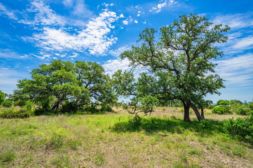 TBD Morris Tivydale Rd, Fredericksburg