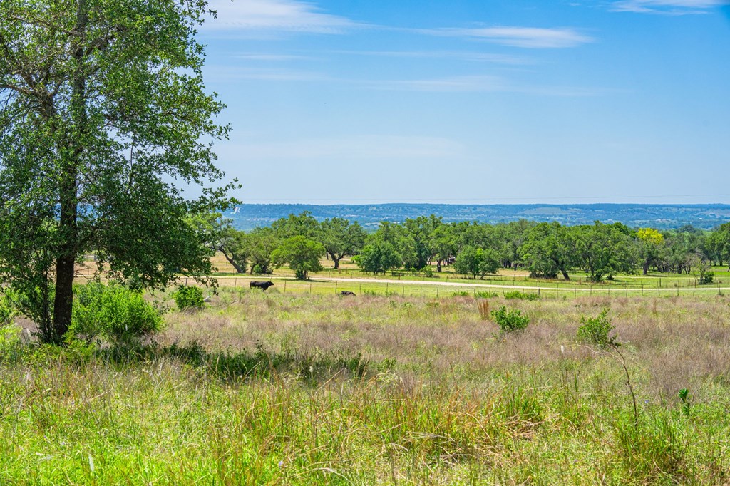 TBD Morris Tivydale Rd, Fredericksburg