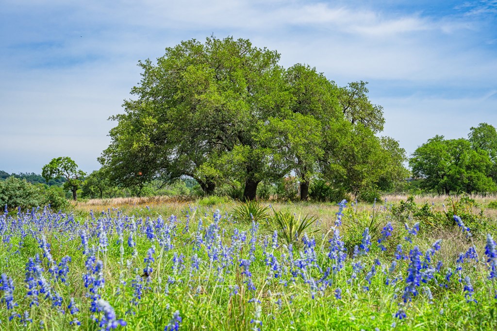 TBD Morris Tivydale Rd, Fredericksburg