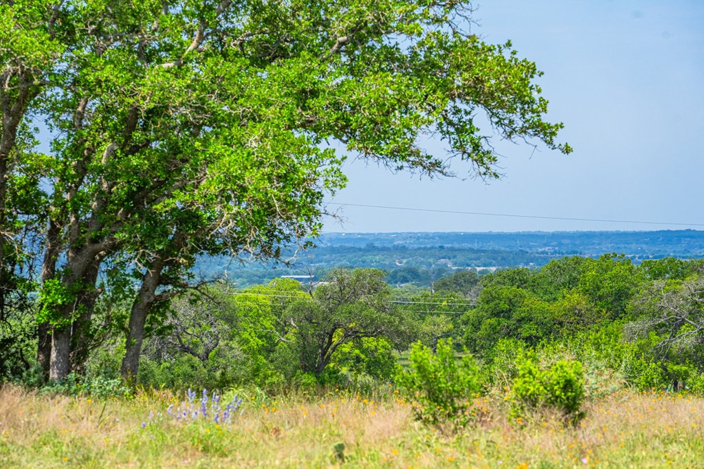 TBD Morris Tivydale Rd, Fredericksburg