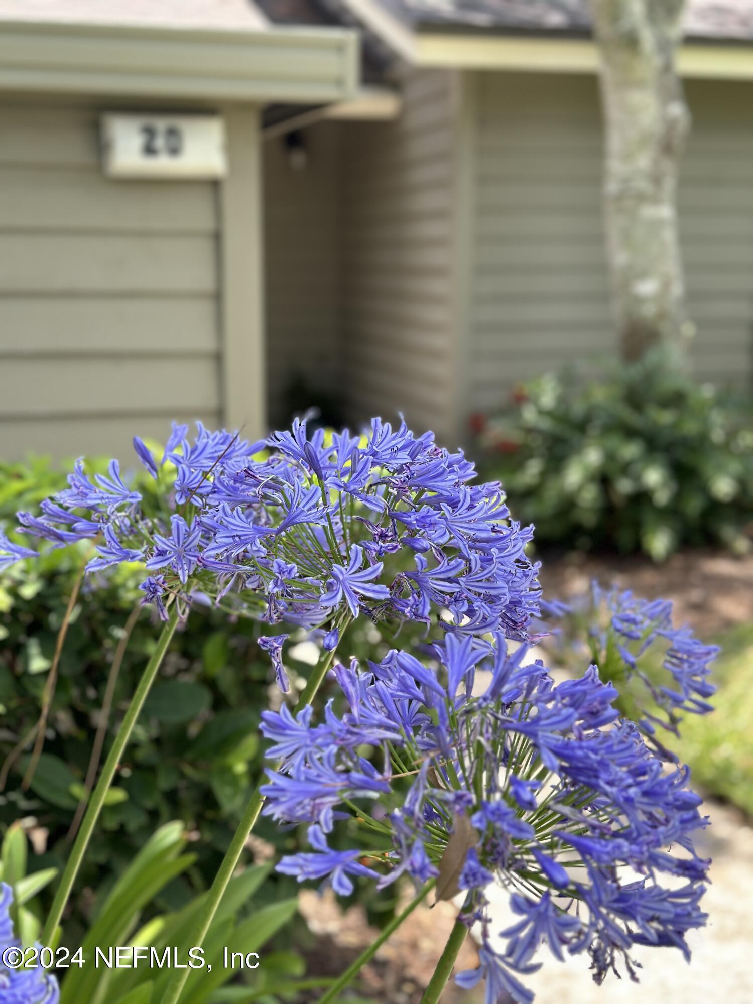 20 FISHERMANS COVE Road