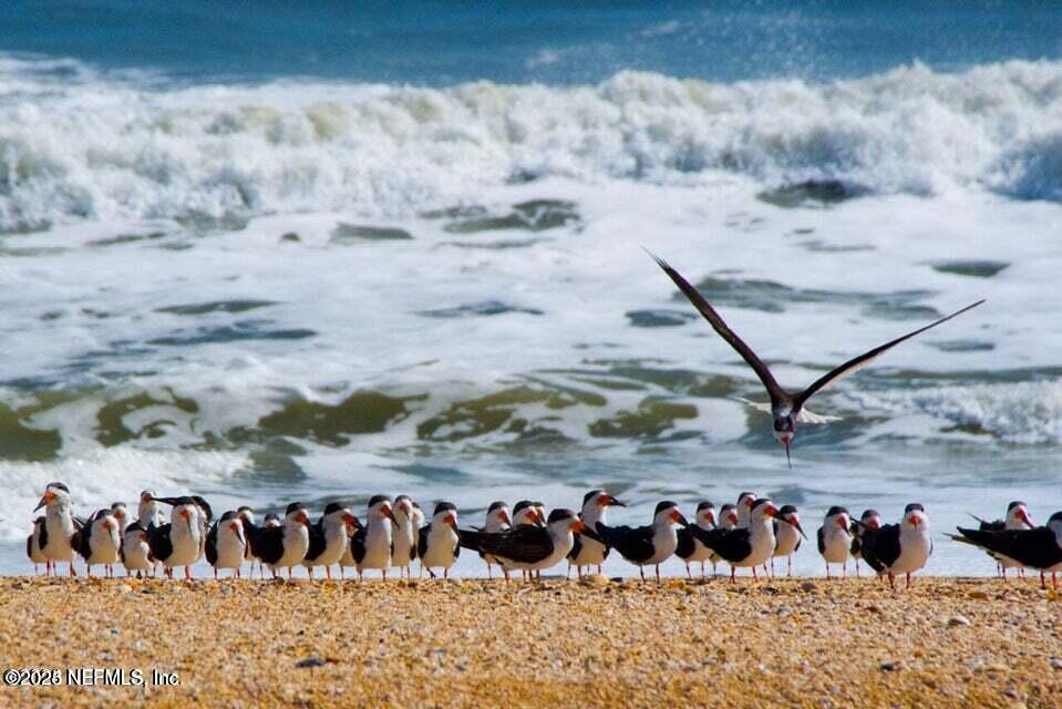 3255 OLD BARN RD Road W