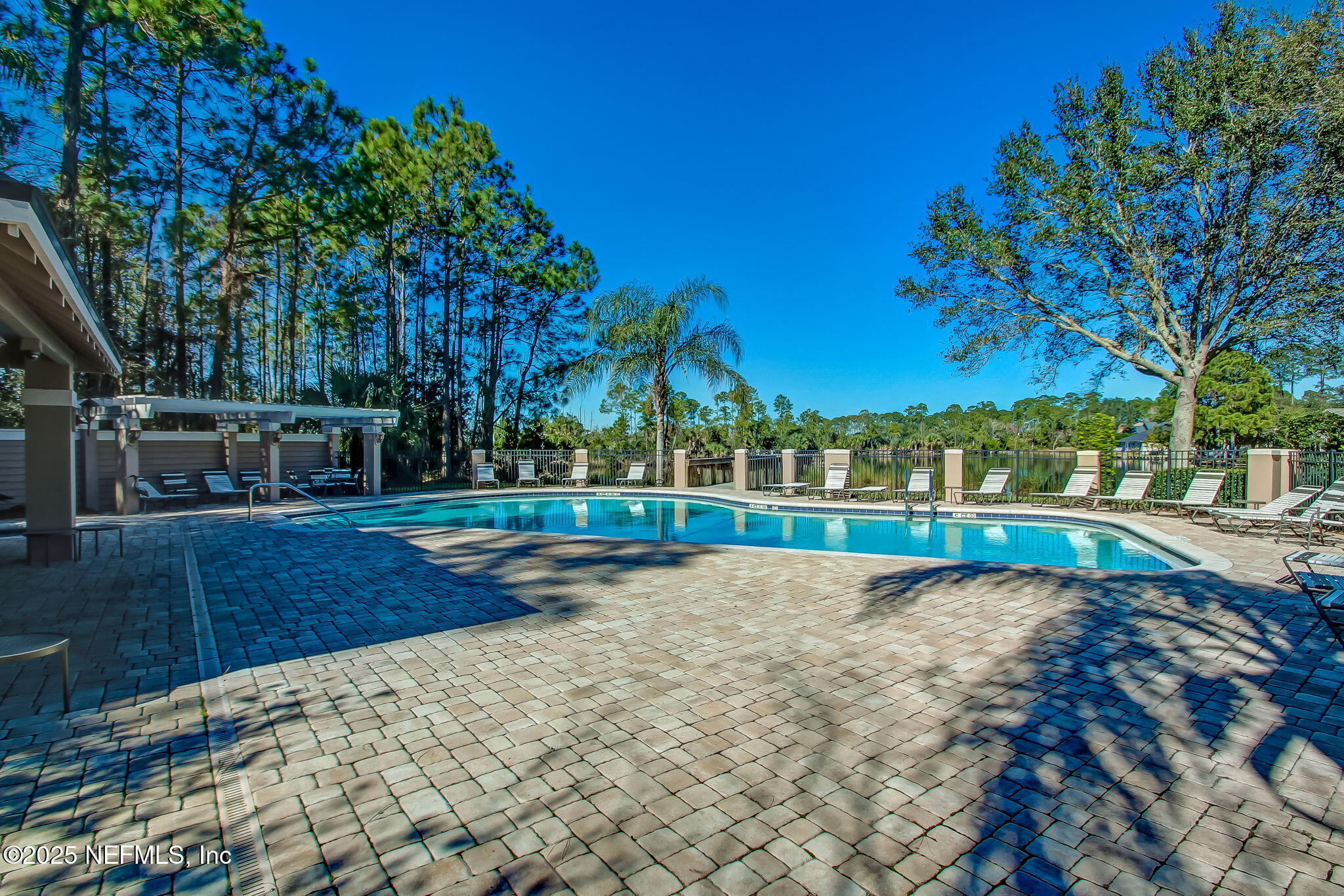 1886 MOURNING DOVE Lane