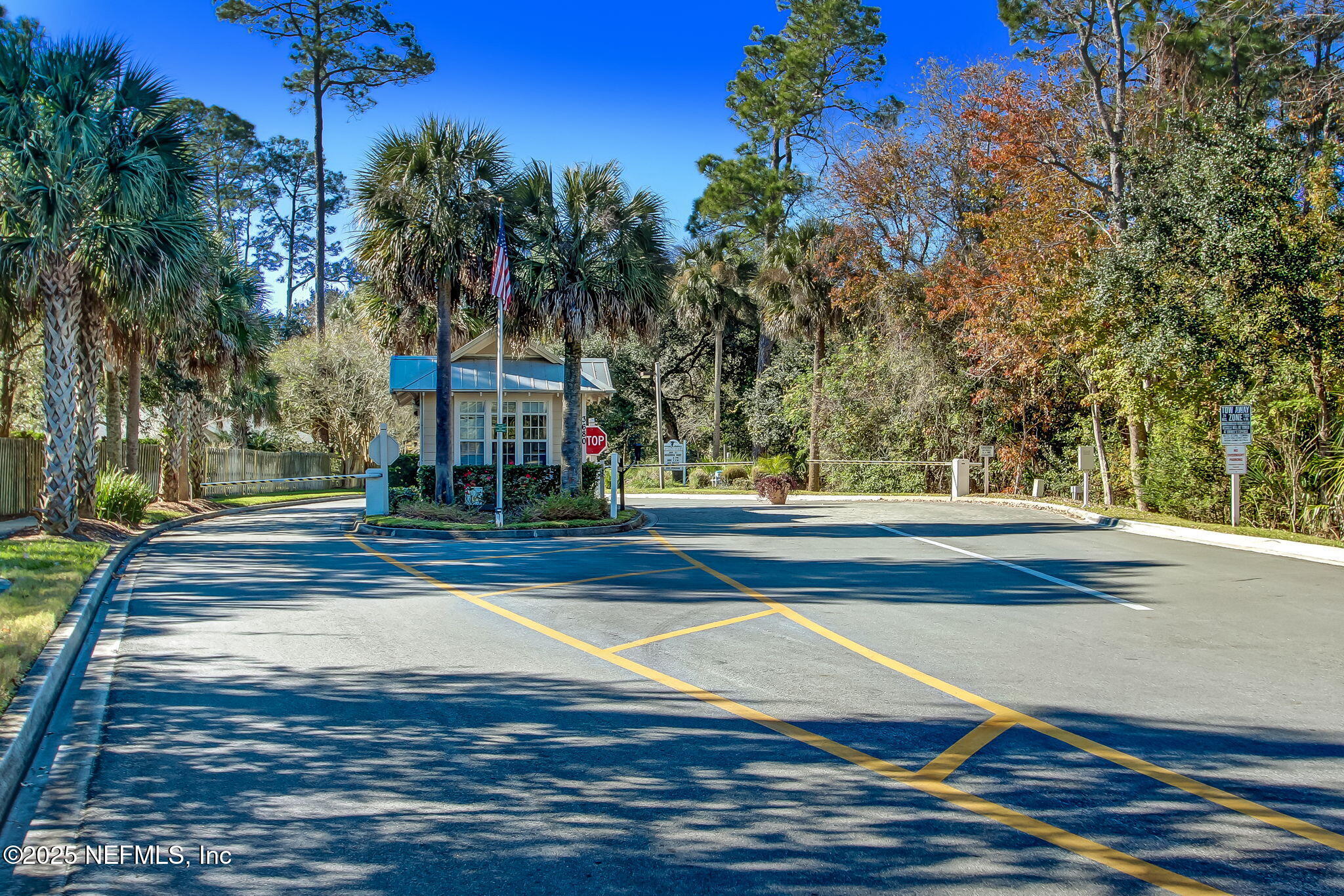 1886 MOURNING DOVE Lane