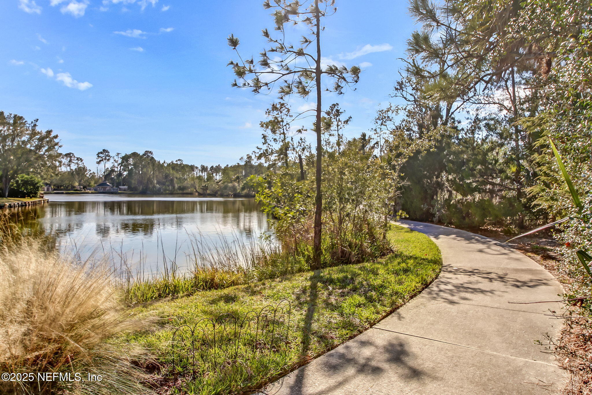 1886 MOURNING DOVE Lane