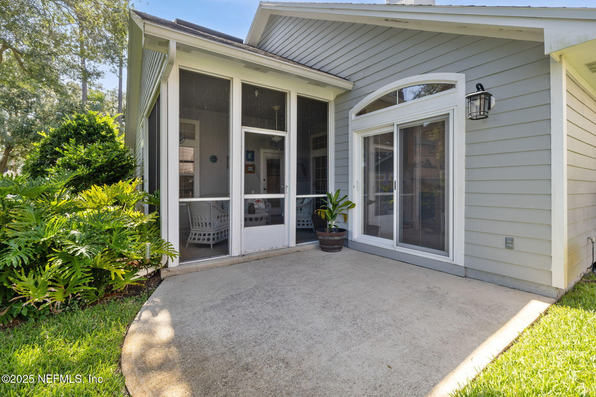 1886 MOURNING DOVE Lane