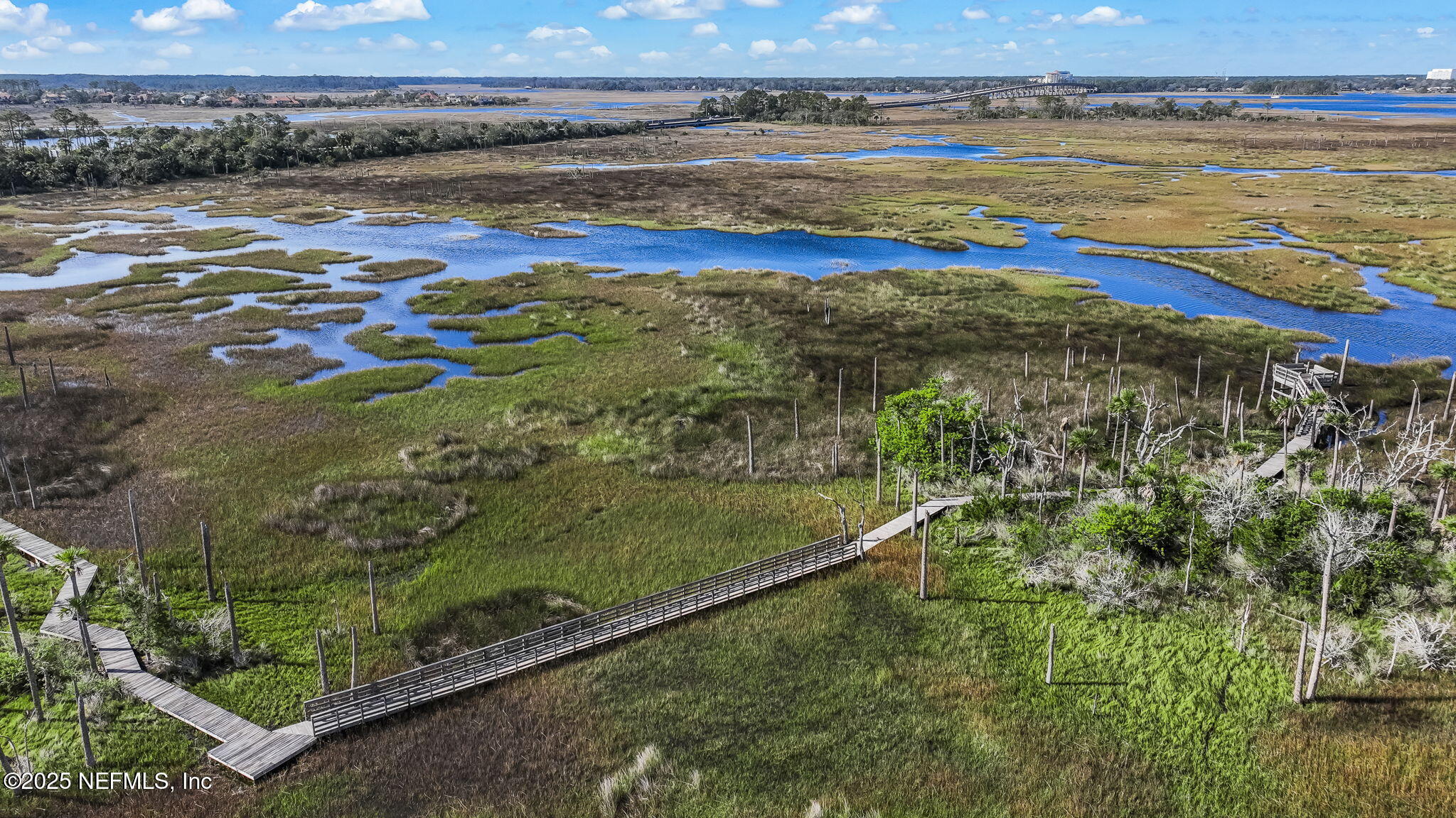 1886 MOURNING DOVE Lane