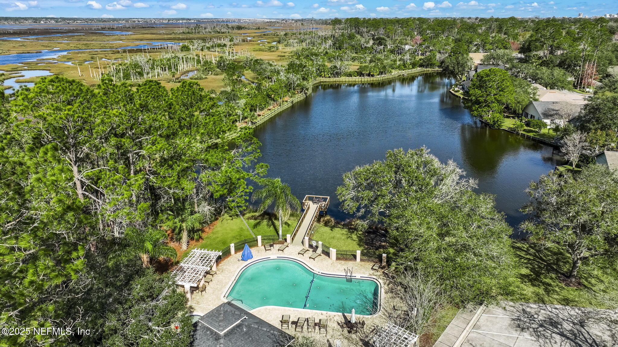 1886 MOURNING DOVE Lane