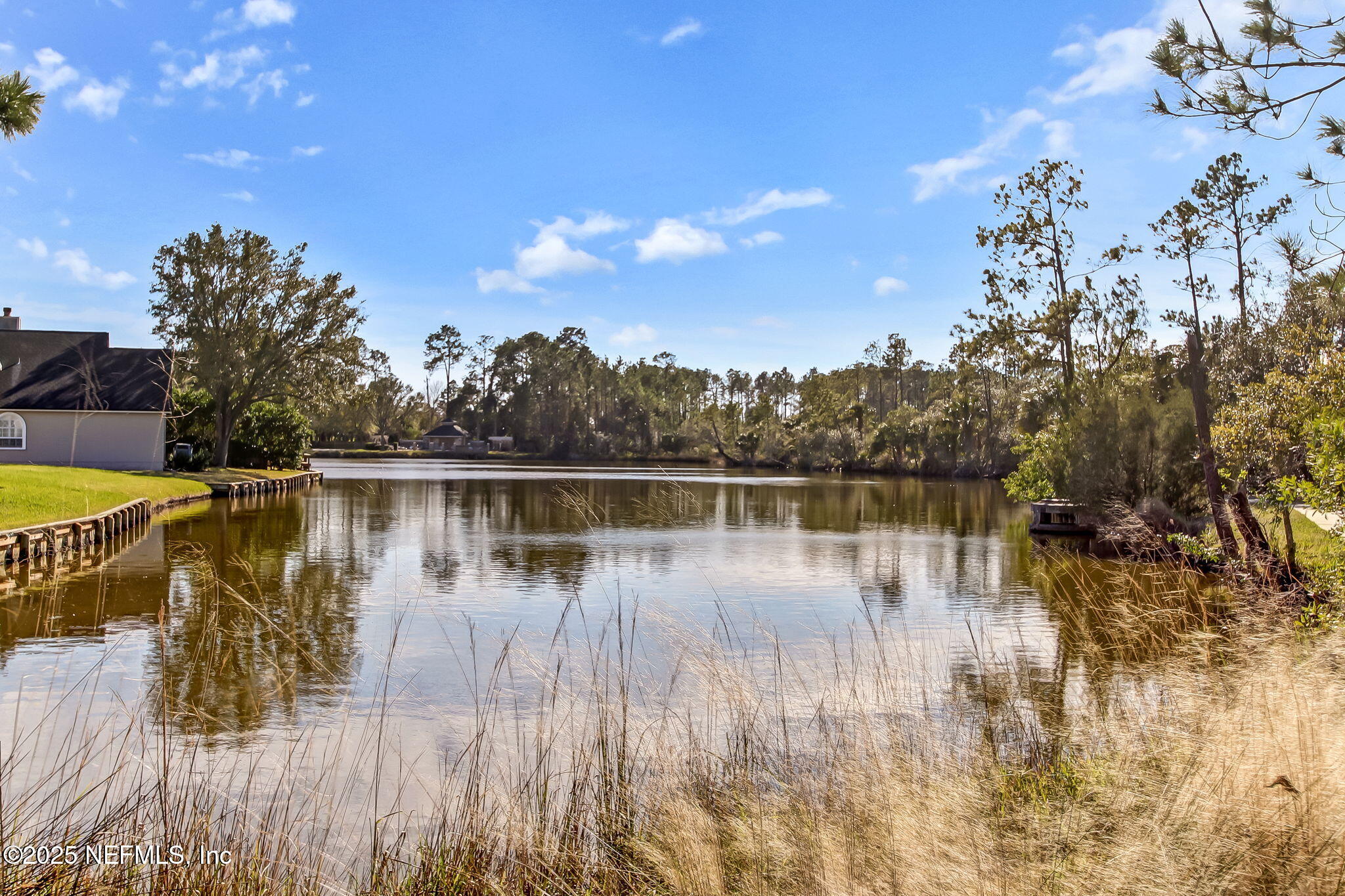 1886 MOURNING DOVE Lane