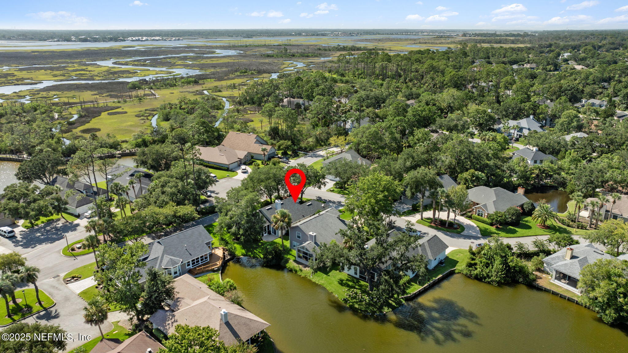 1886 MOURNING DOVE Lane