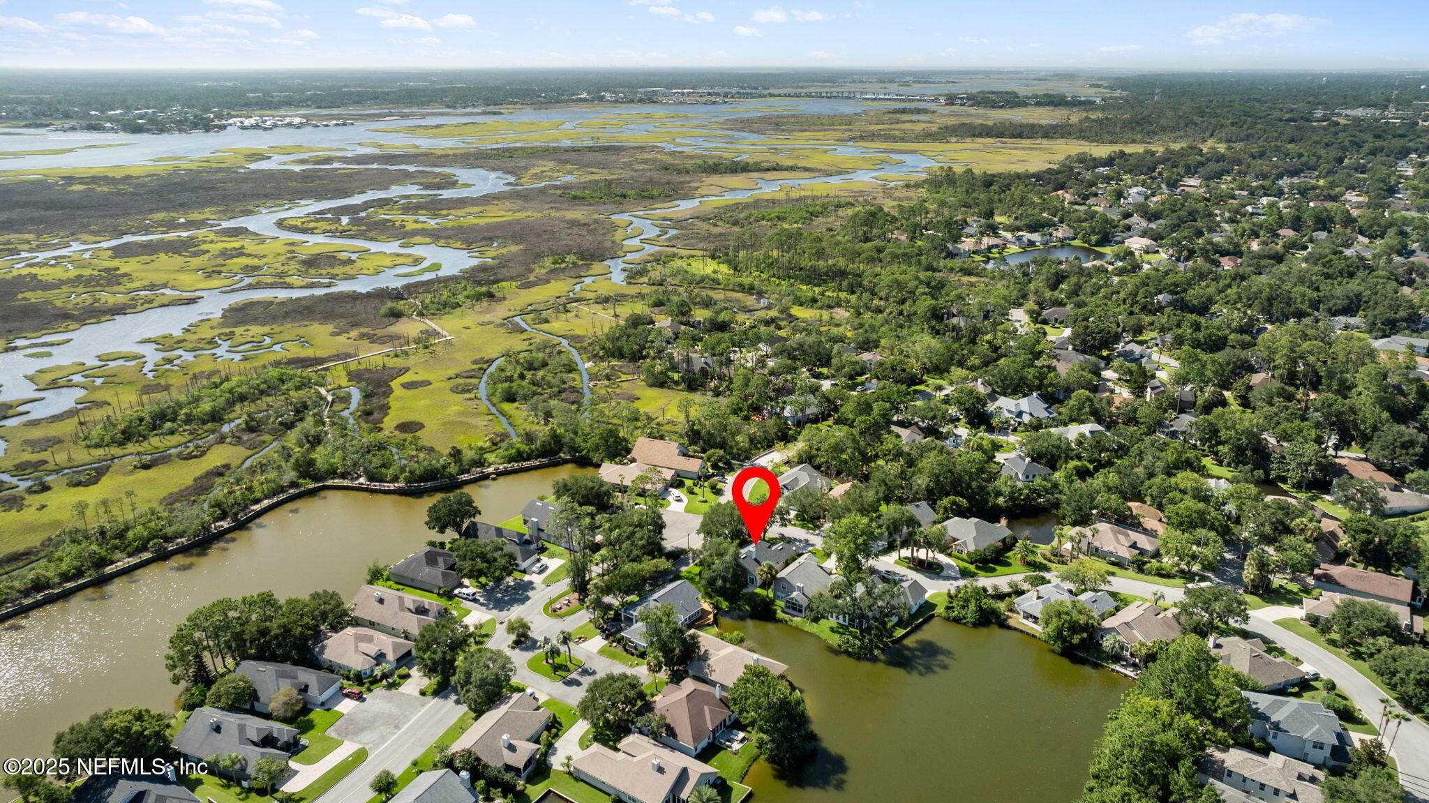 1886 MOURNING DOVE Lane