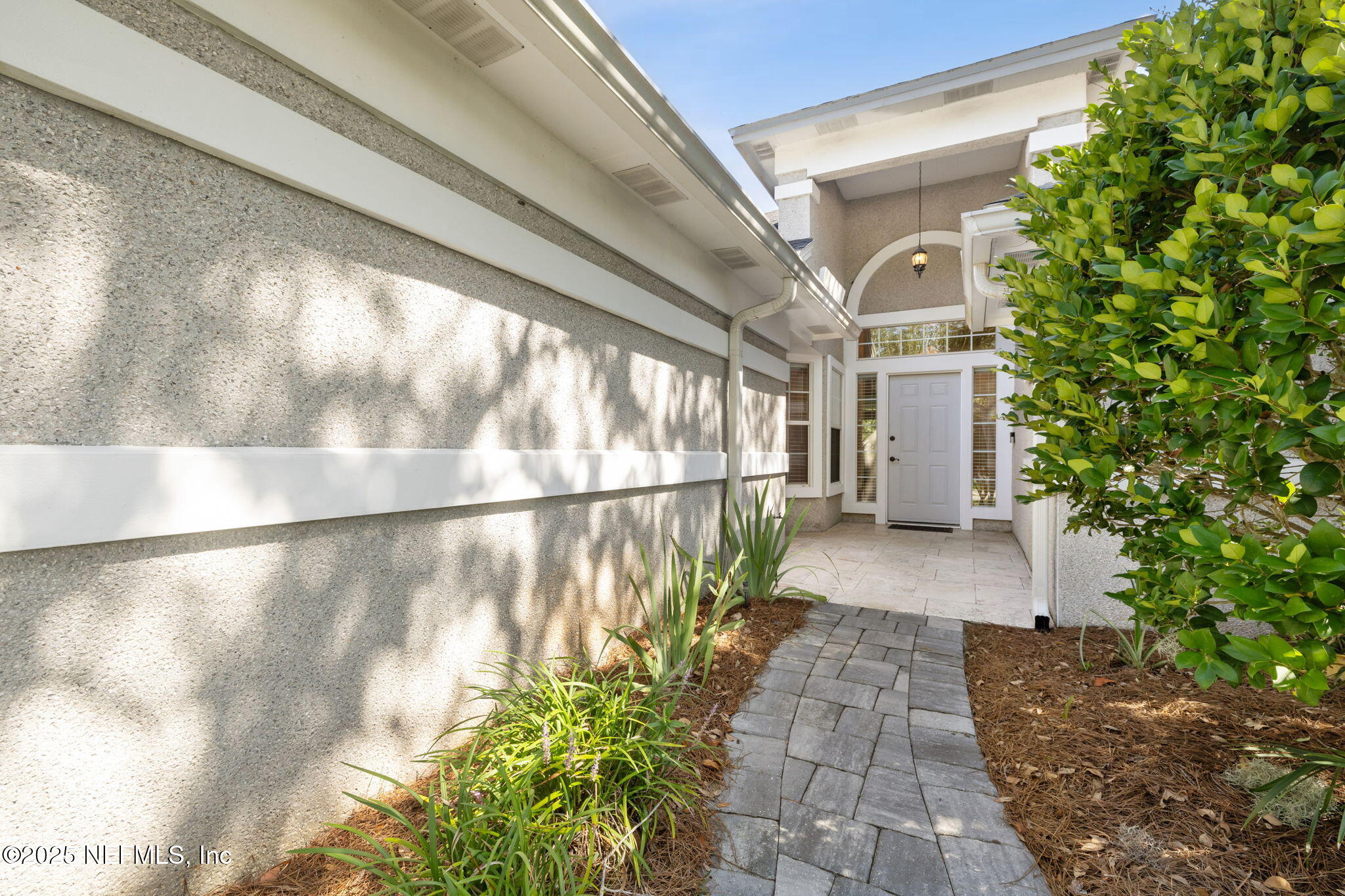 1886 MOURNING DOVE Lane