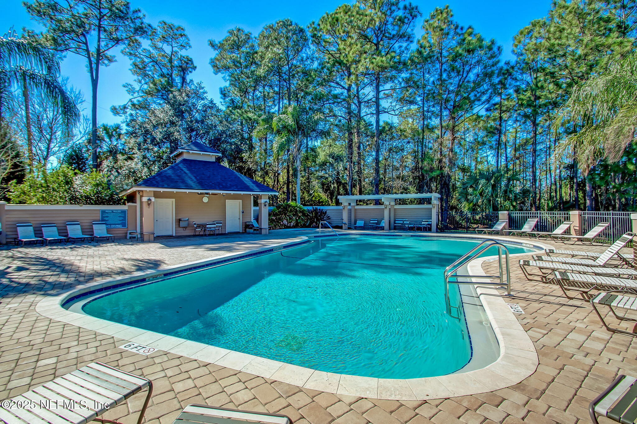 1886 MOURNING DOVE Lane