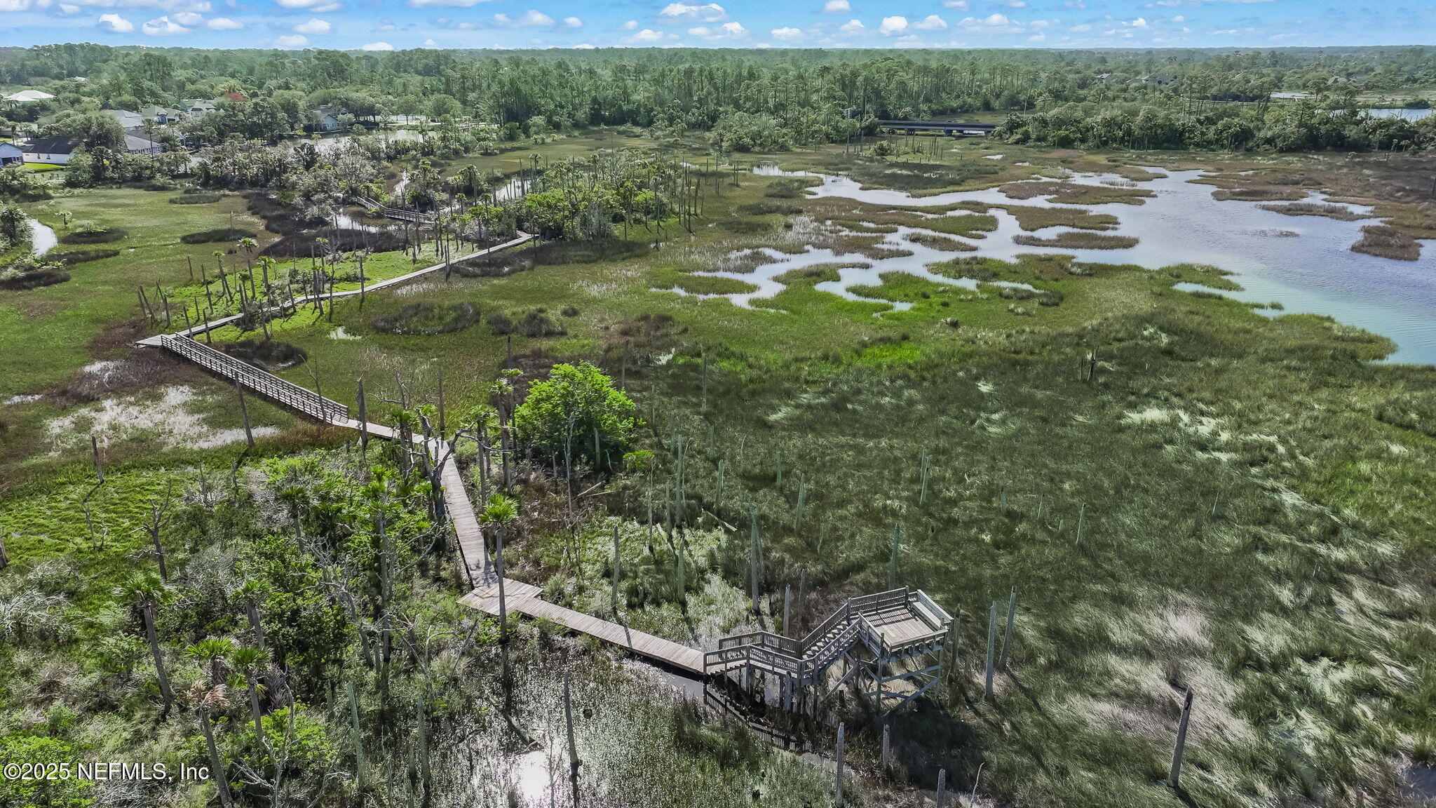 1886 MOURNING DOVE Lane