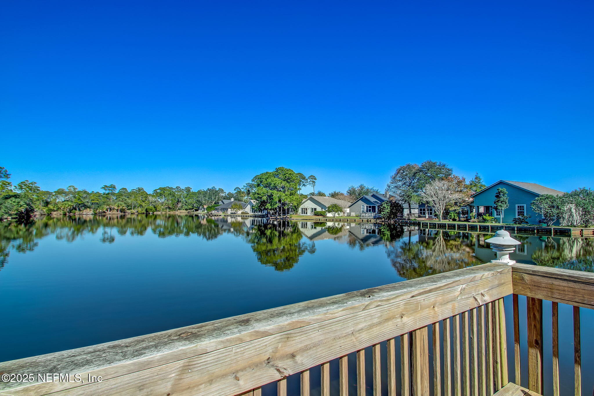 1886 MOURNING DOVE Lane