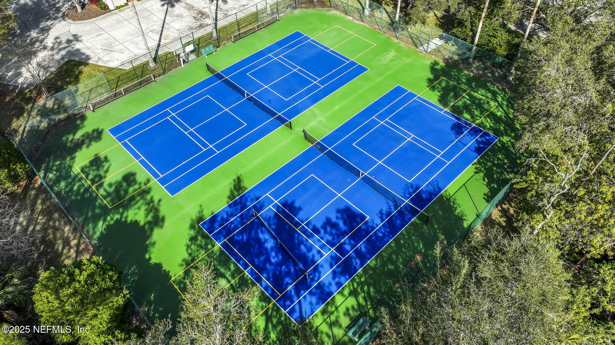 1886 MOURNING DOVE Lane