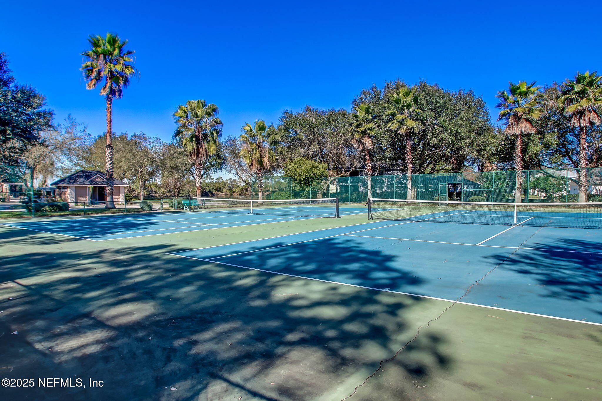 1886 MOURNING DOVE Lane