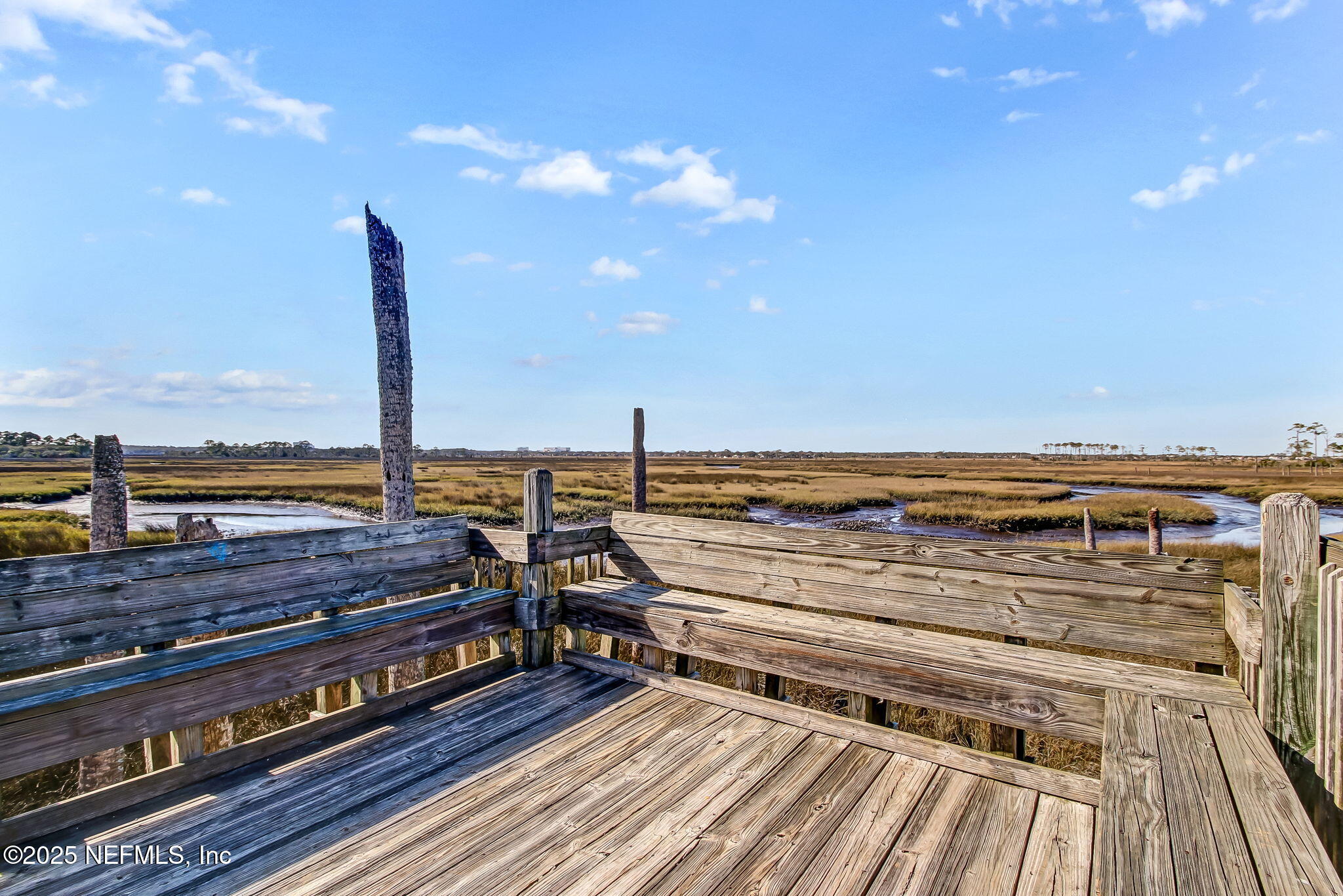 1886 MOURNING DOVE Lane