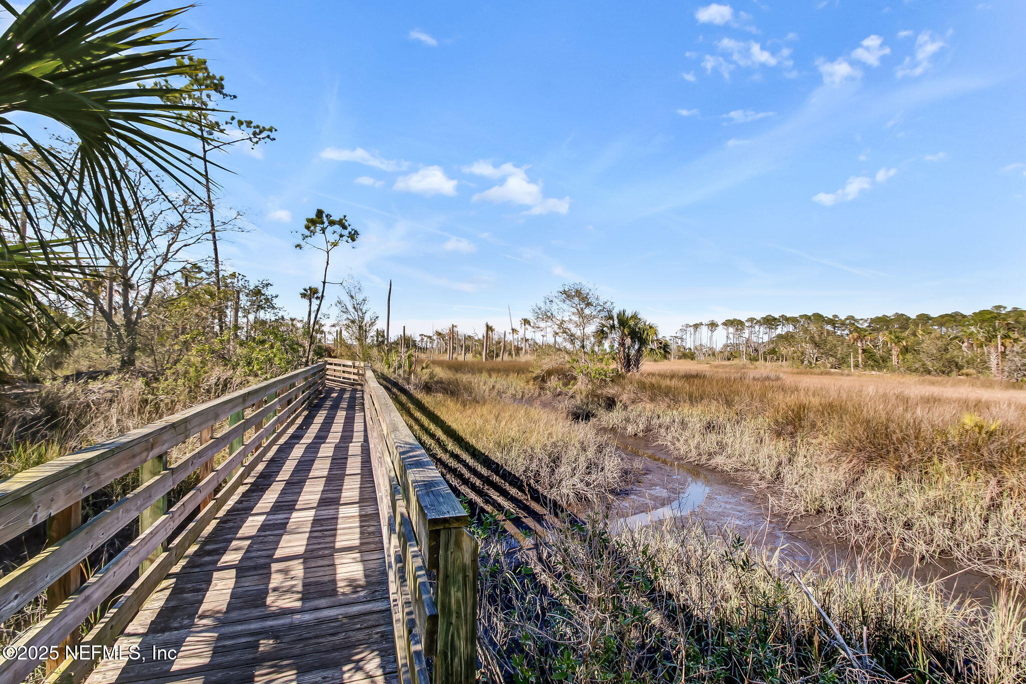 1886 MOURNING DOVE Lane