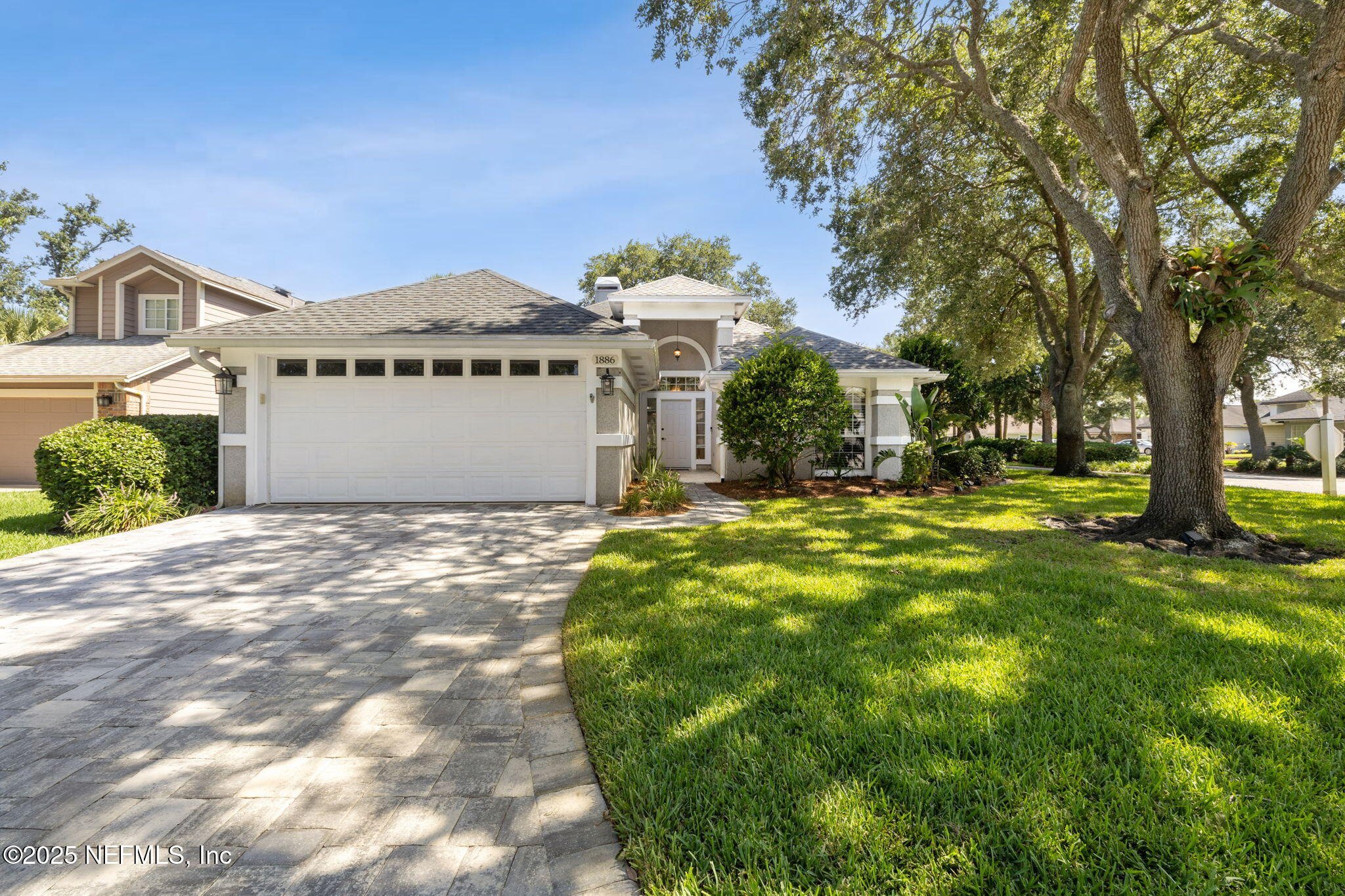 1886 MOURNING DOVE Lane