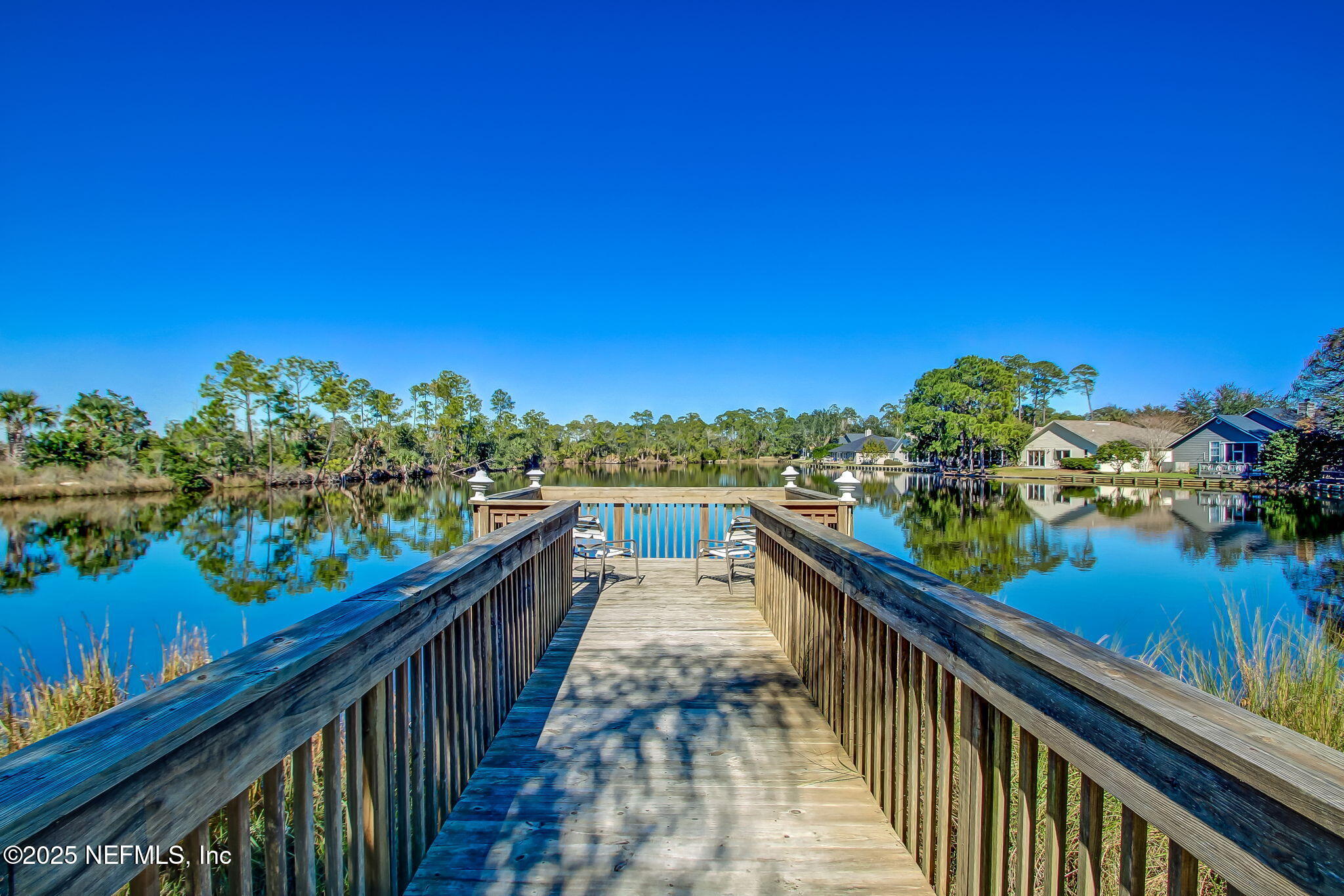 1886 MOURNING DOVE Lane