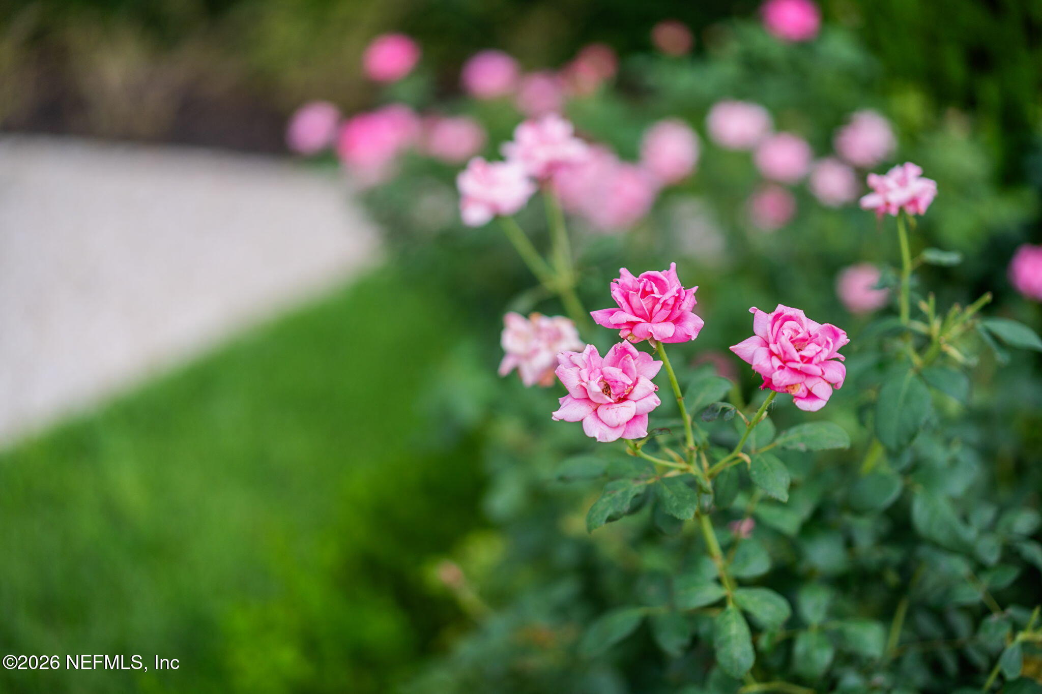 2300 N SCENIC HIGHWAY 5