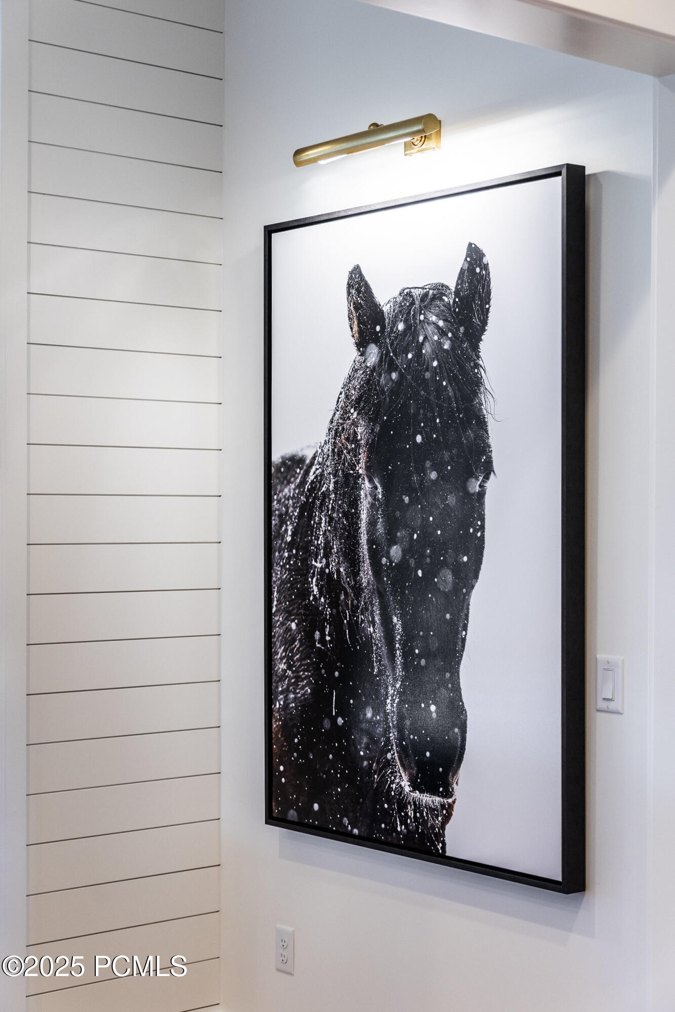 1633 Rocky Mountain Way