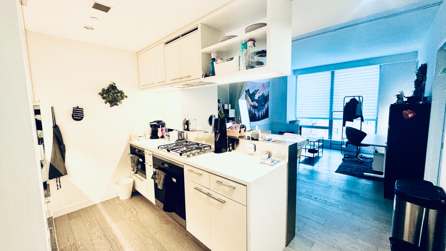 252 South Street 11f