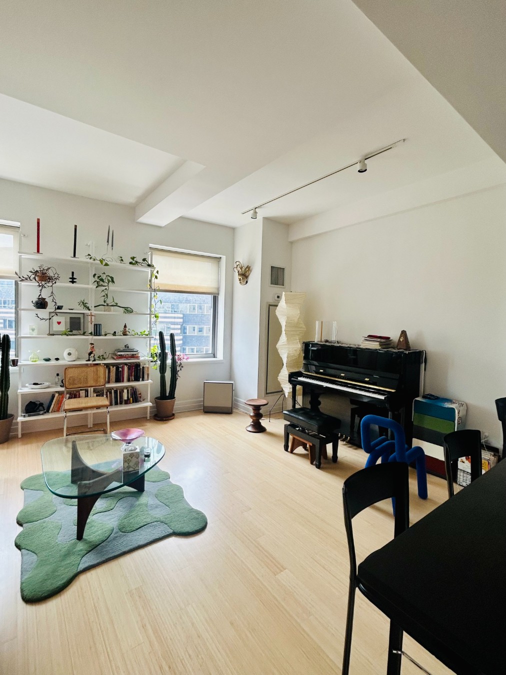 110 Livingston Street 9H