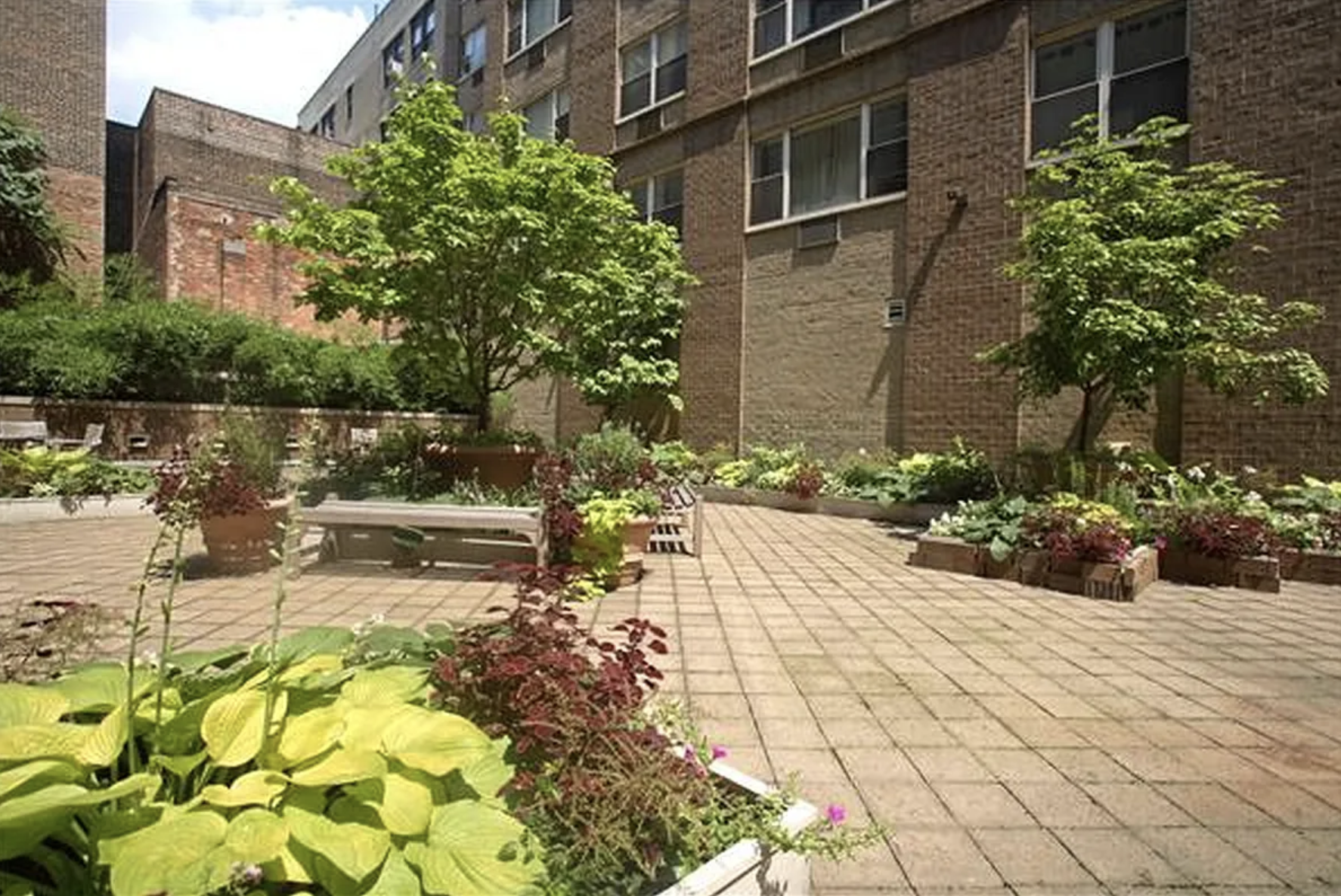 301 Elizabeth Street 3E