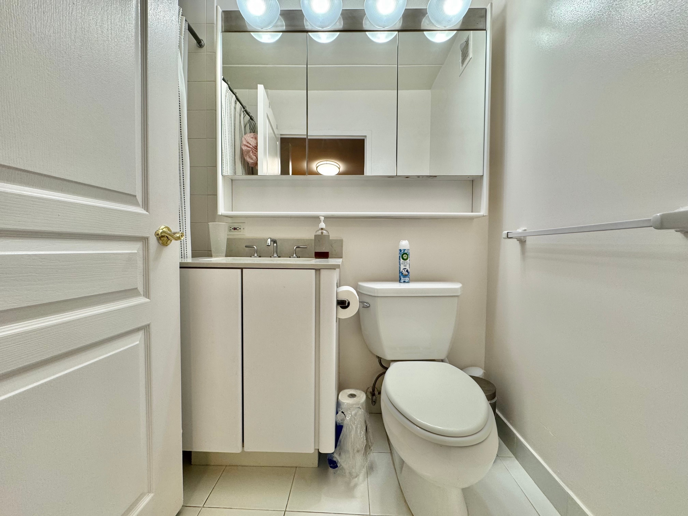 301 Elizabeth Street 3E