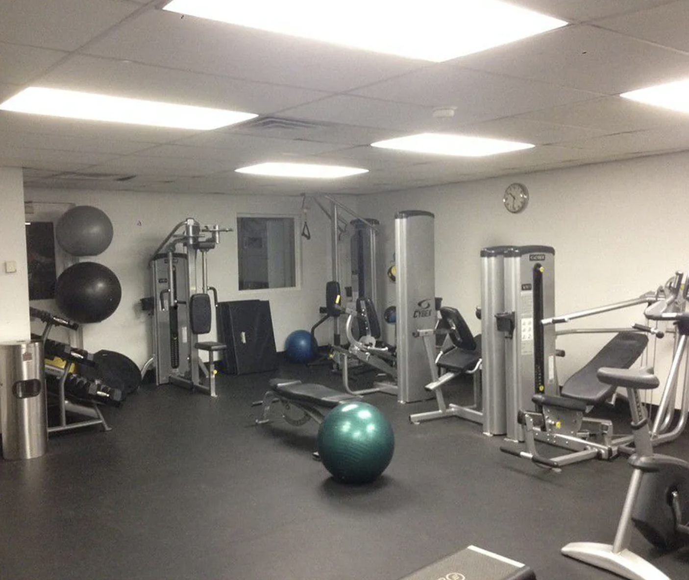 301 Elizabeth Street 3E