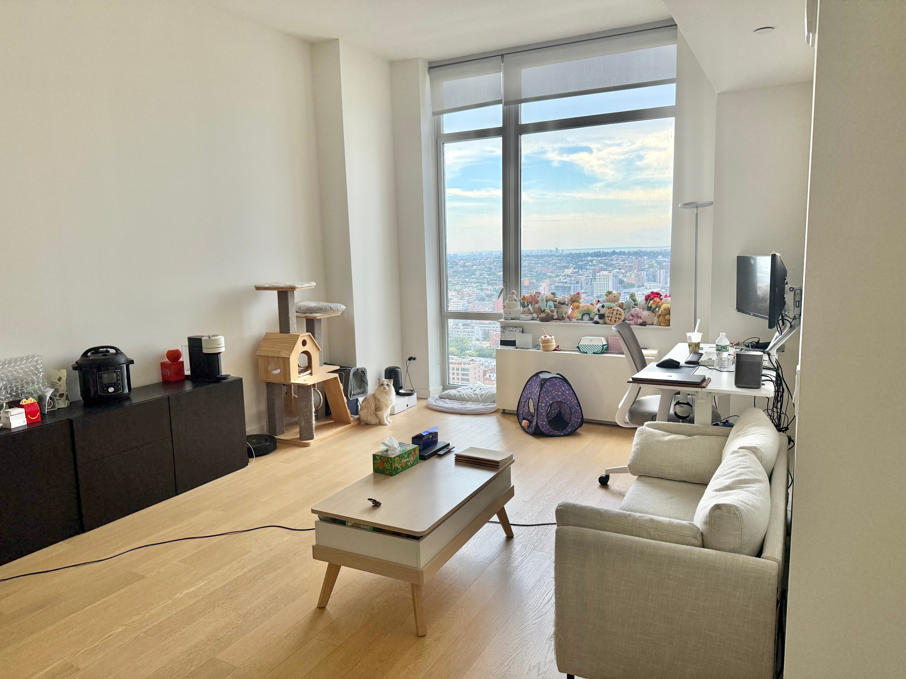 333 Schermerhorn Street 34M