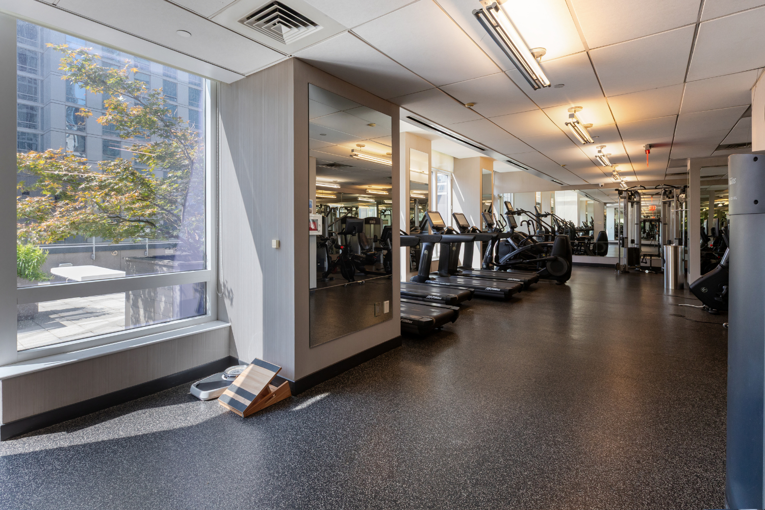 247 W 46th Street 3104