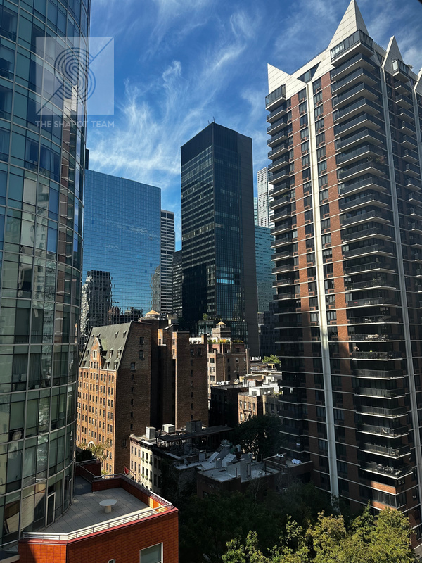 301 E 48th Street 14H