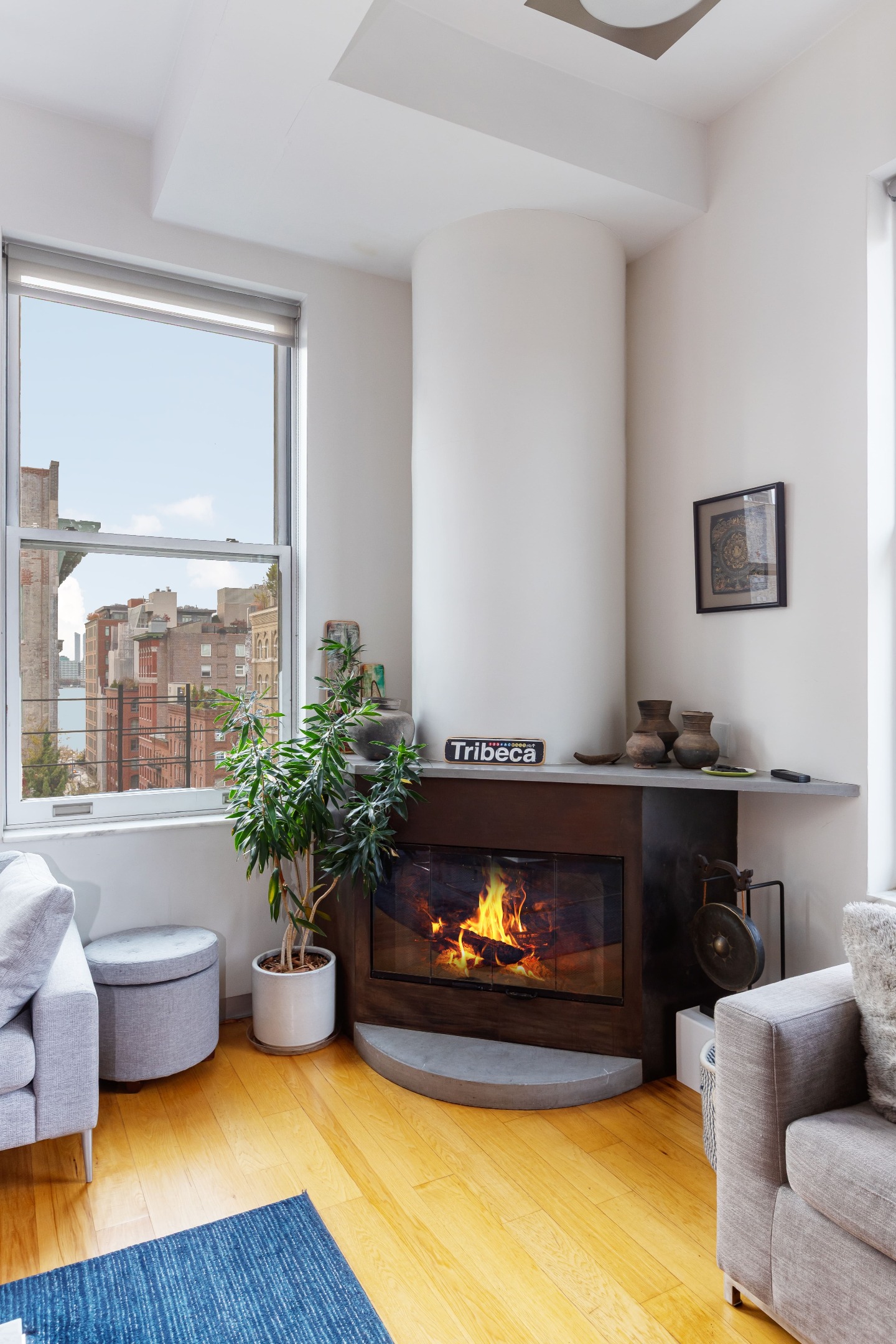 161 Hudson Street 8A