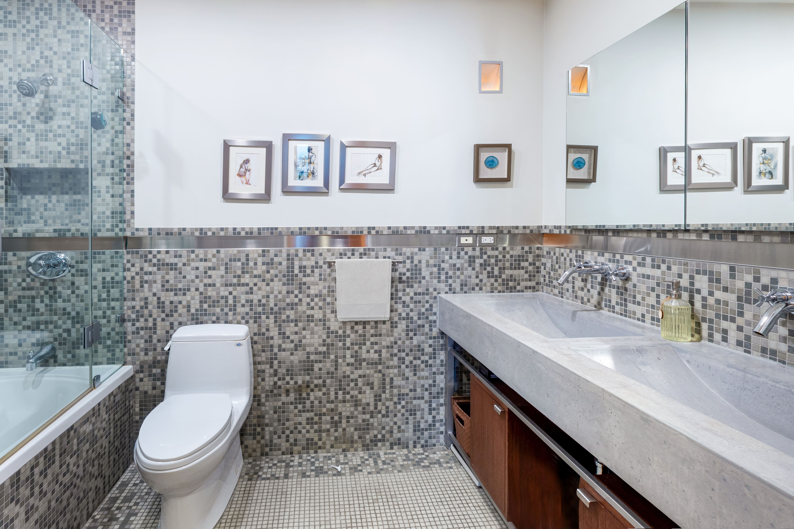 161 Hudson Street 8A