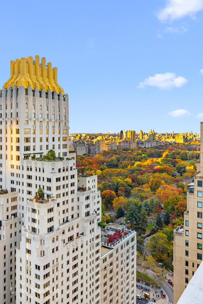 58 W 58th Street 19A