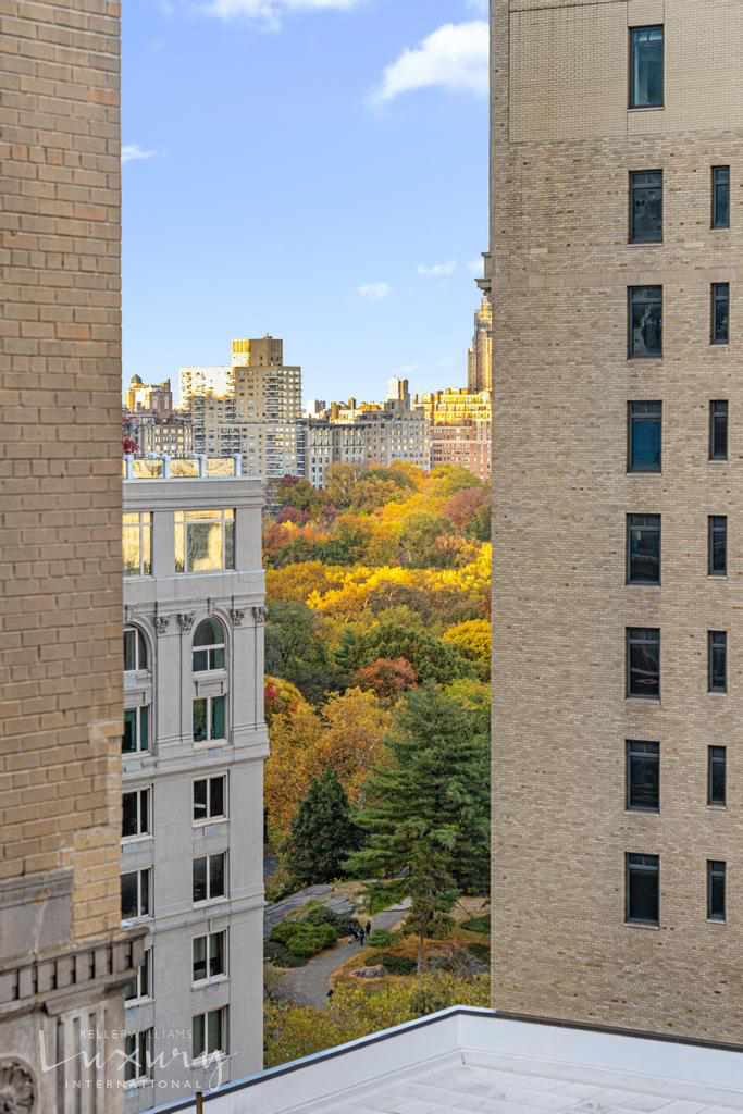 58 W 58th Street 19A