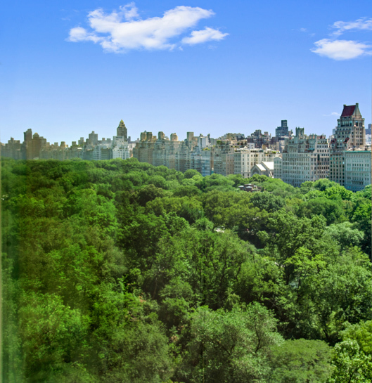 106 Central Park S 16G