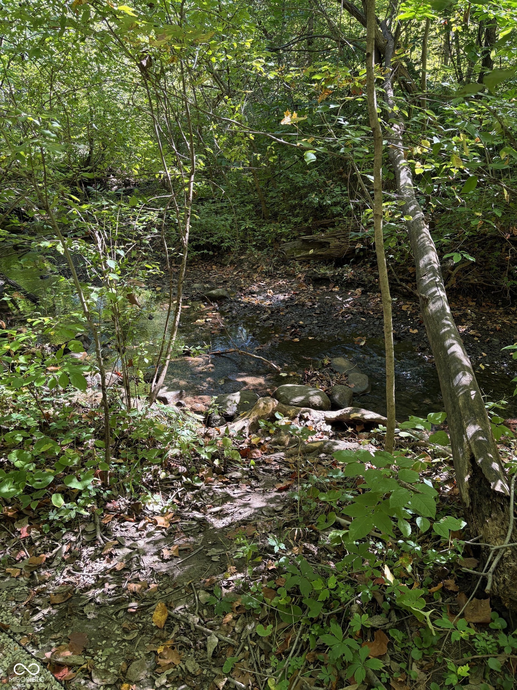 13617 Creekridge Lane