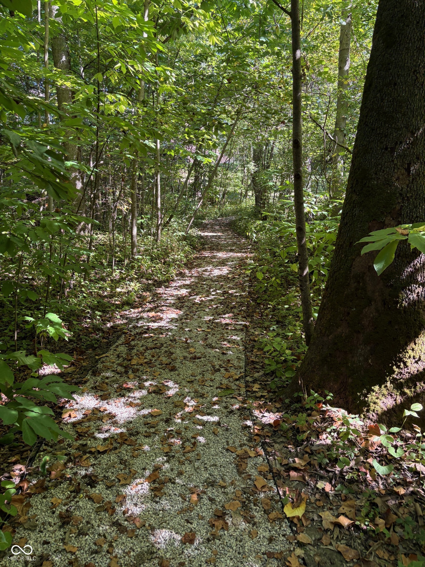 13617 Creekridge Lane